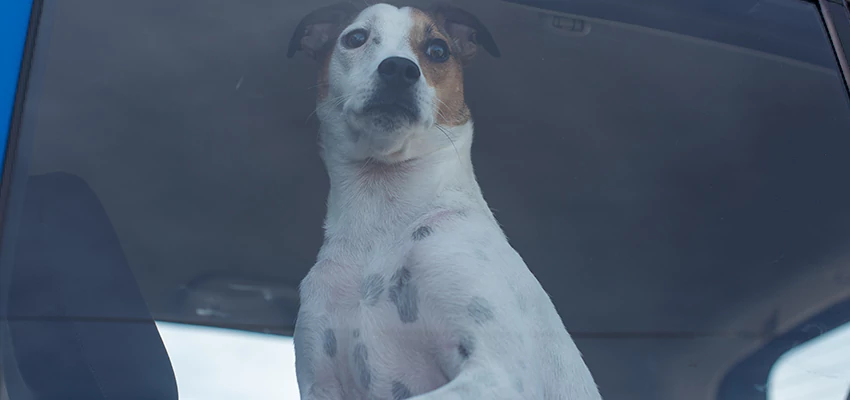 Car Lockout Solutions in Soledad, California